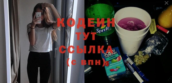 прущий лед Бородино