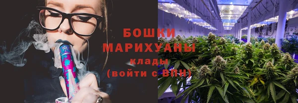прущий лед Бородино