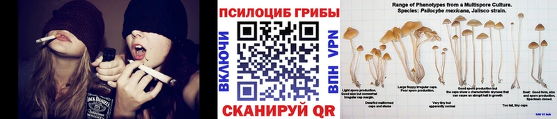 Галлюциногенные грибы Cubensis  Киржач 